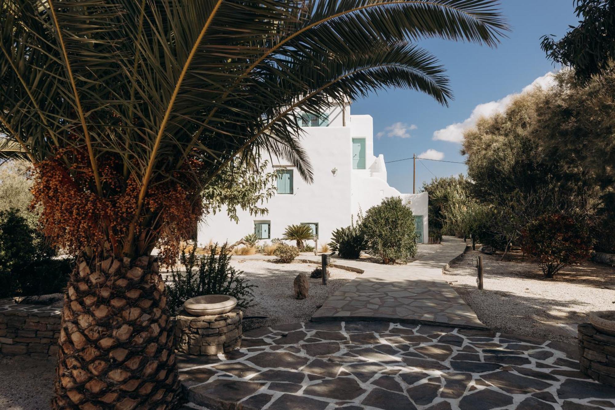 Medusa Beach Resort & Suites Plaka  Luaran gambar